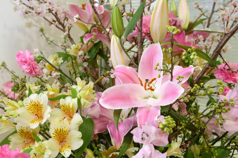 季節の花を飾っています