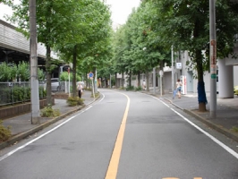 4.セブンイレブンを曲がりましたら、並木道がありますのであとはずっと真っすぐ道なりに進んでください。
