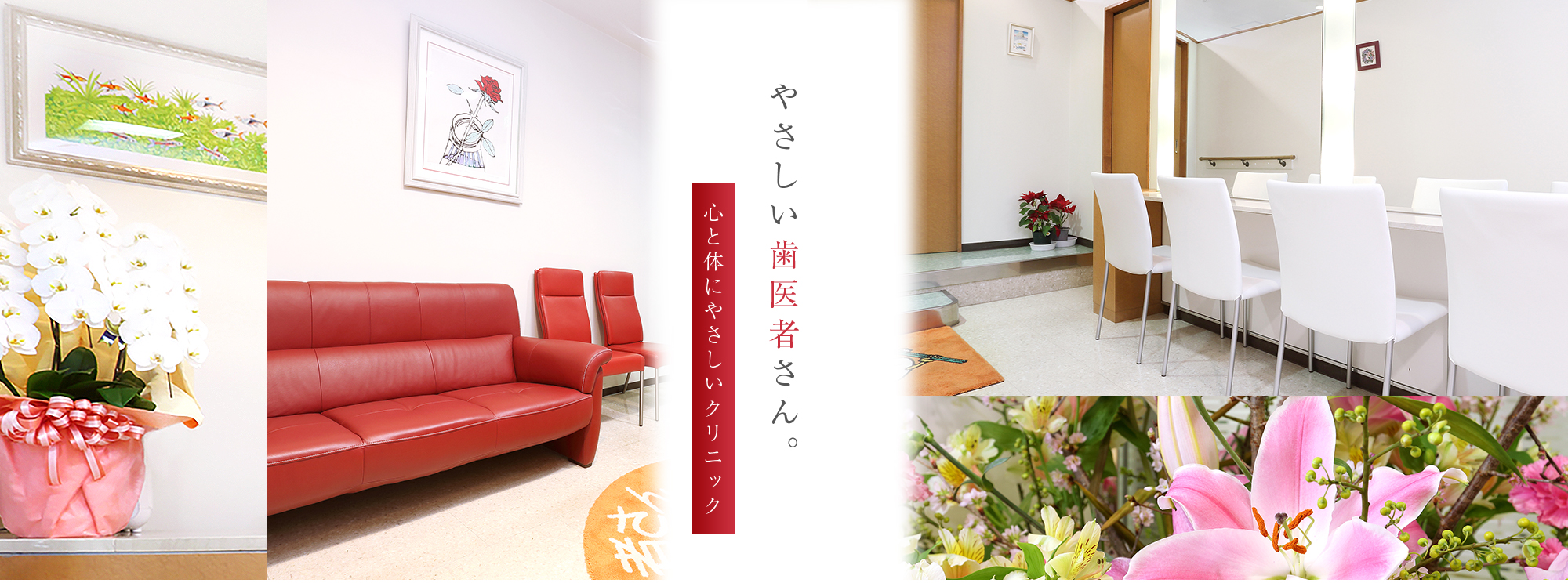 やさしい歯医者さん。心と体にやさしいクリニック